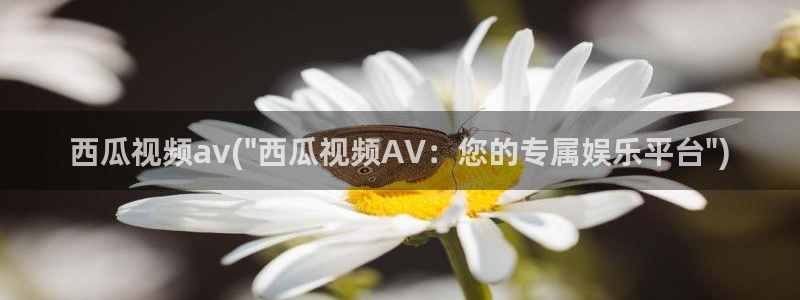手机在线av视频