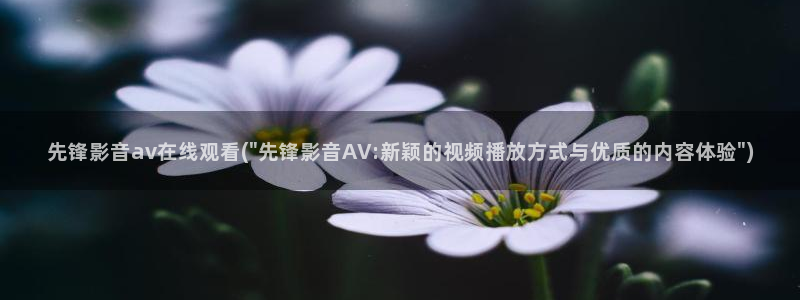 火影忍者av