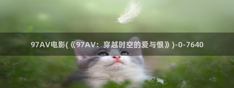 97超碰av