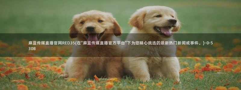麻豆视频专题内容