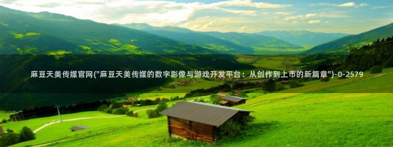 麻豆视频优质内容