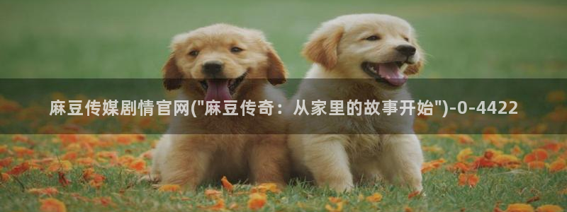麻豆新片