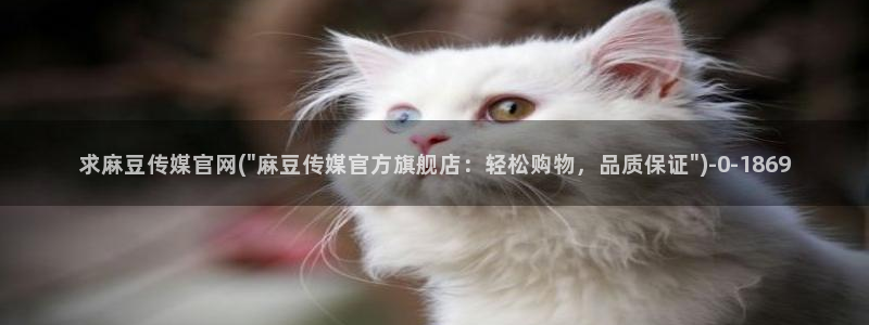 麻豆视频模板标签