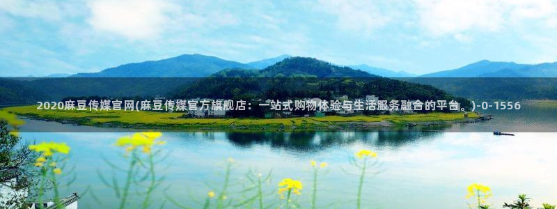 麻豆视频百度优化
