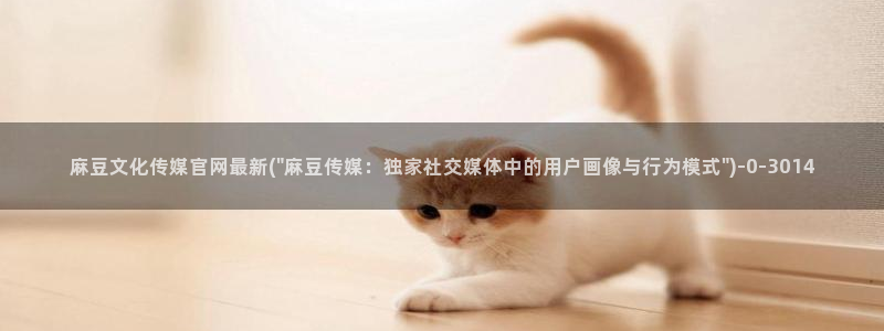 麻豆视频排行文案