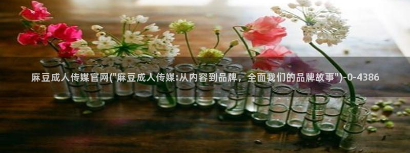 麻豆入门指南