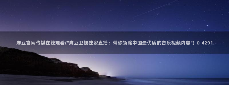 麻豆视频网