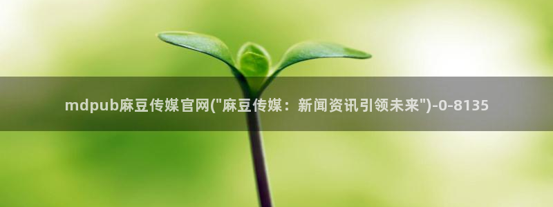 麻豆视频栏目文案