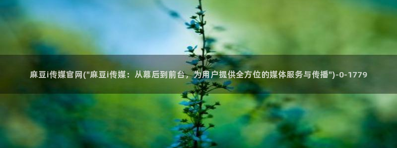 麻豆传媒