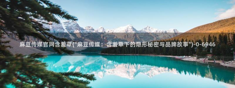 麻豆剧情标题