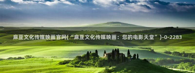 麻豆描述优化