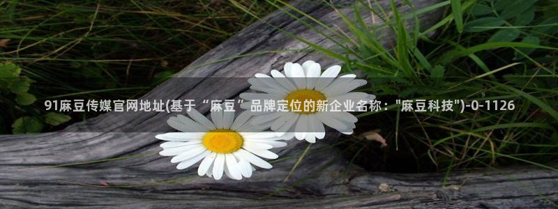 麻豆SEO关键词
