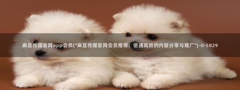 麻豆视频页面关键词