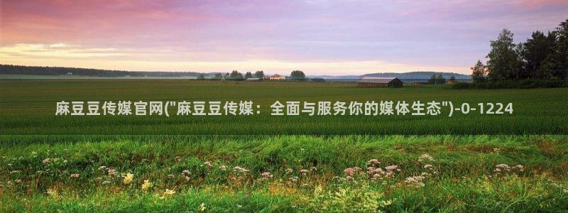 麻豆视频分类