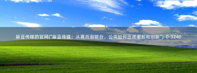 麻豆视频截图：麻豆传媒的官网(\