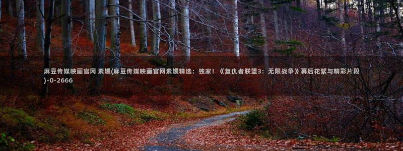 麻豆视频推荐
