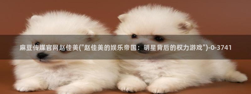 麻豆视频伪原创