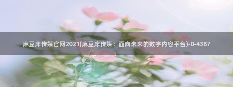 麻豆传媒精选